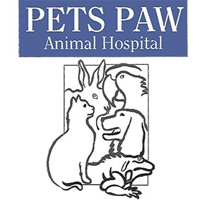 Veterinarian Near Me - Contact Us | Pet's Paw Animal Hospital